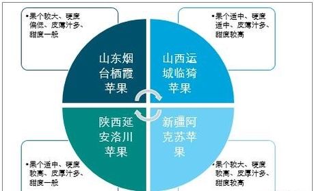 中国苹果现状及陕西省果业分析：陕西苹果产量占全国总产量1/4